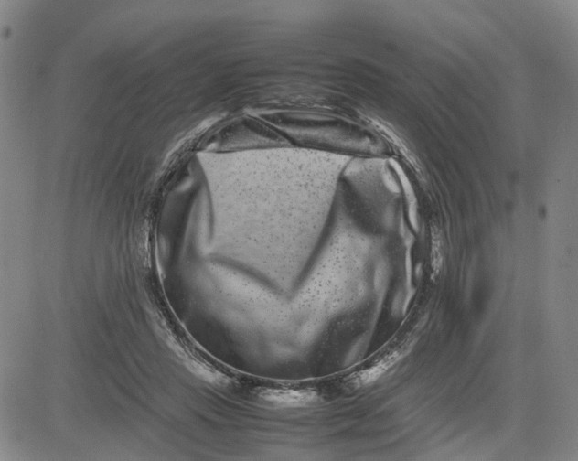 X0000080750453200701021035