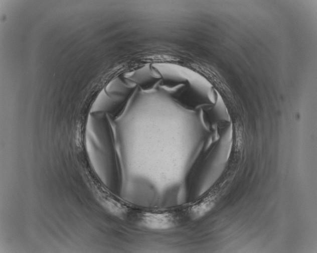 X0000080750457200701021035