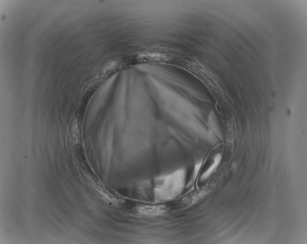 X0000080750465200701021035