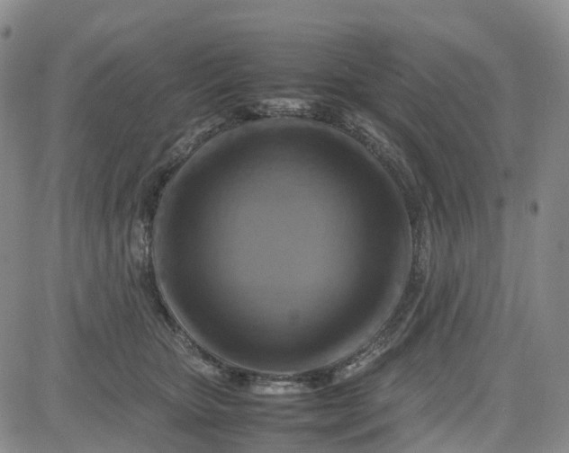 X0000080750467200701021035
