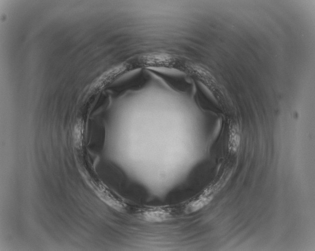 X0000080750468200701021035
