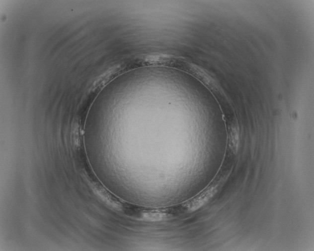 X0000080750470200701021035