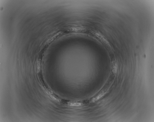 X0000080750471200701021035