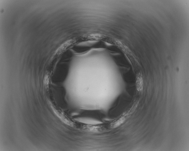X0000080750472200701021035