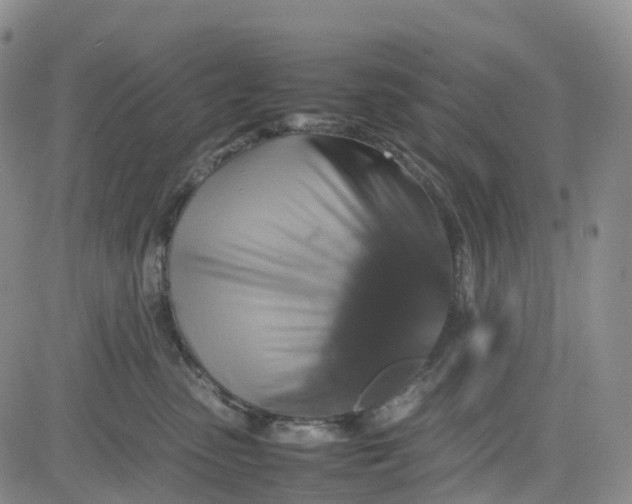 X0000080750475200701021035