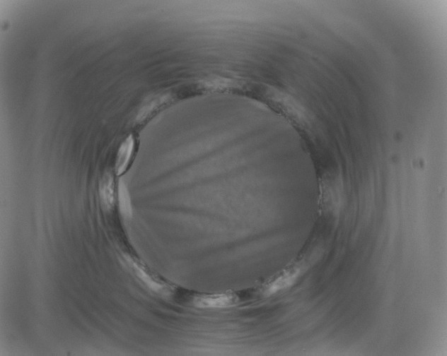X0000080750479200701021035
