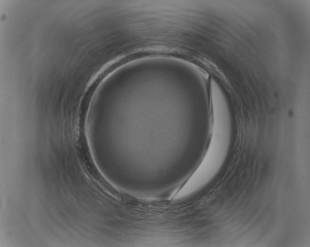 X0000080750484200701021035