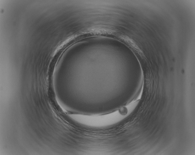 X0000080750488200701021035