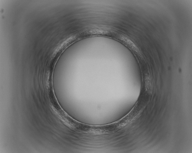 X0000080750490200701021035