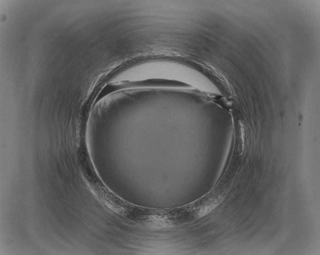 X0000080750496200701021034