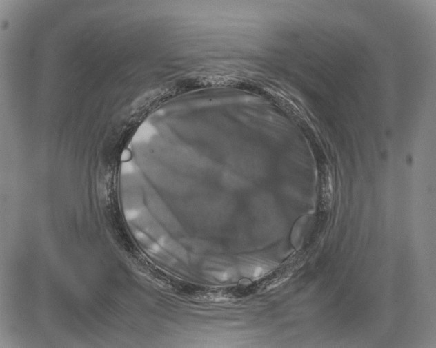 X0000080750503200701021034