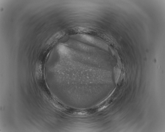 X0000080750506200701021034