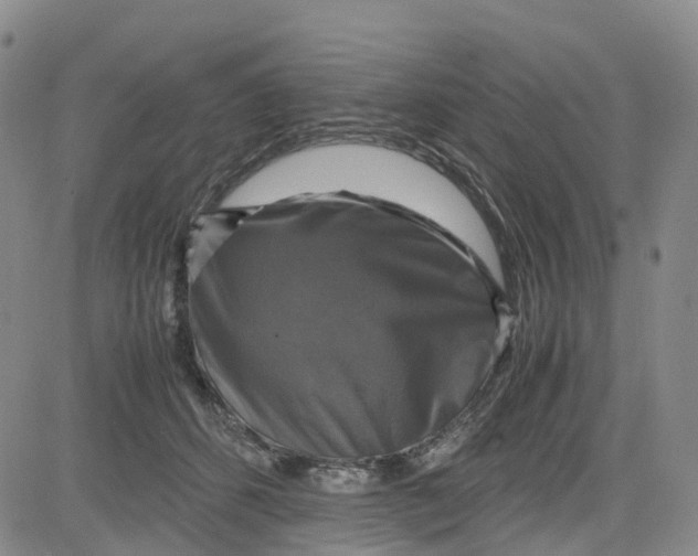 X0000080750512200701021034