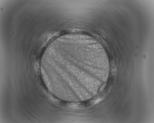X0000080750523200701021034