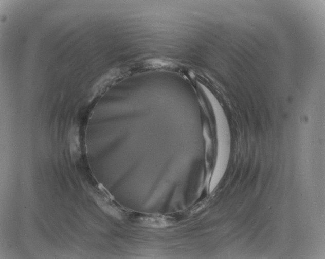X0000080750524200701021034