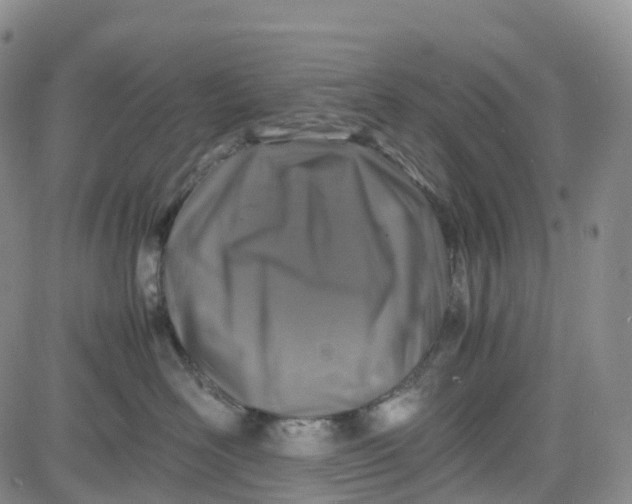 X0000080750526200701021034