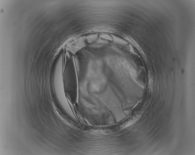 X0000080750530200701021033