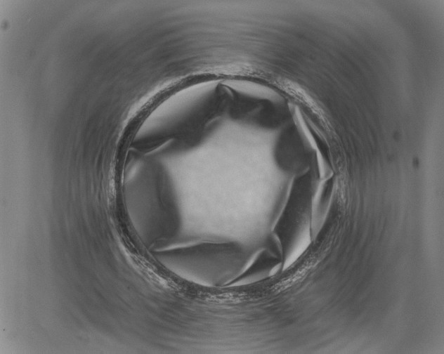 X0000080750532200701021033