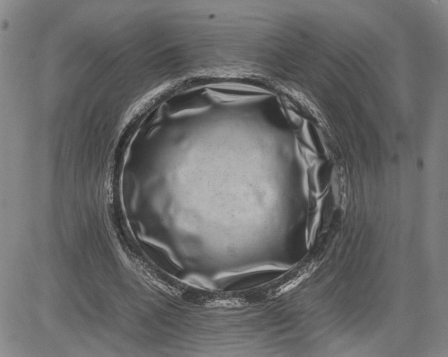 X0000080750536200701021033