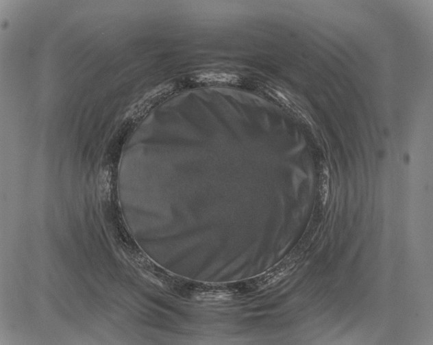 X0000080750551200701021034
