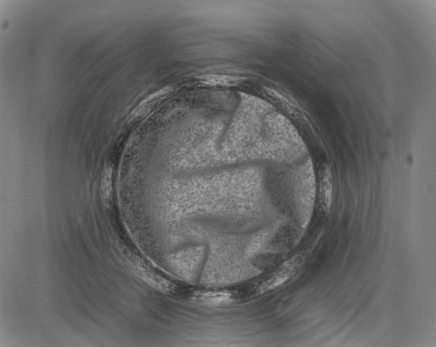 X0000080750554200701021034