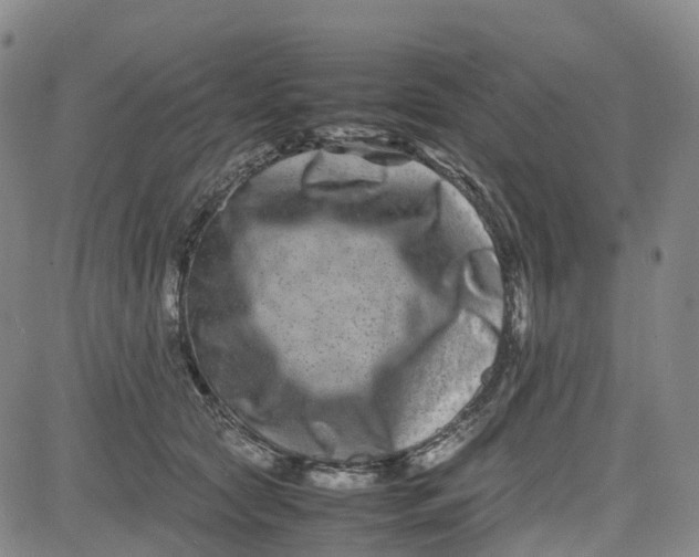 X0000080750561200701021034