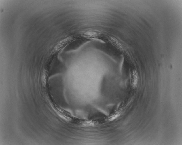 X0000080750562200701021034