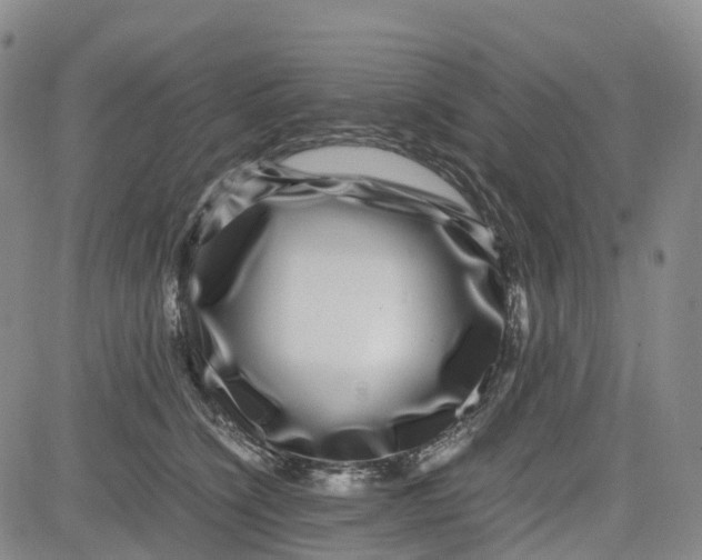 X0000080750564200701021034