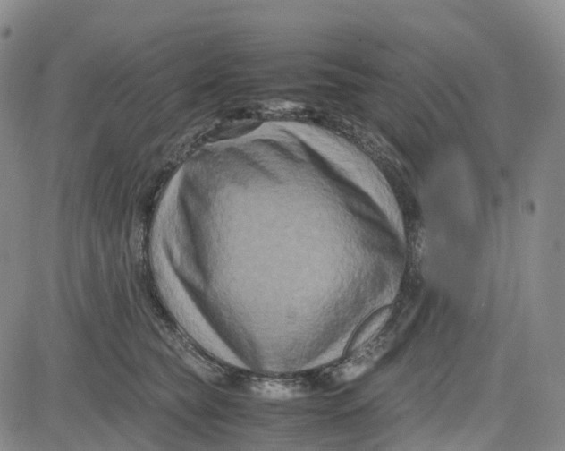 X0000080750565200701021034