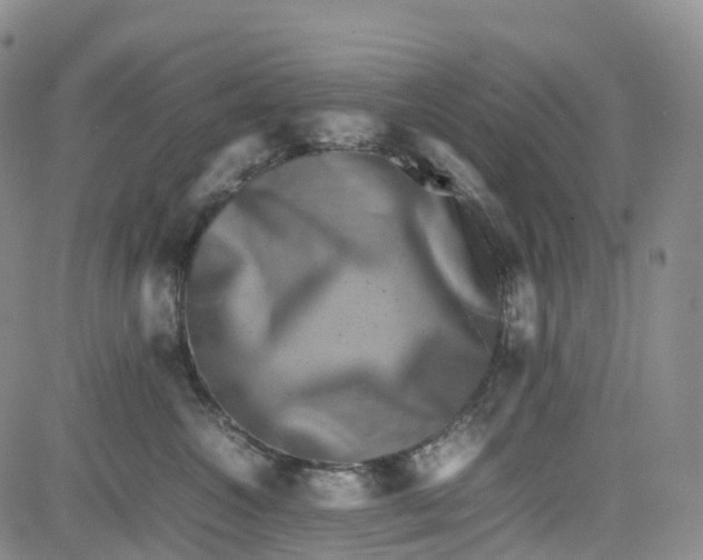 X0000080750572200701021034