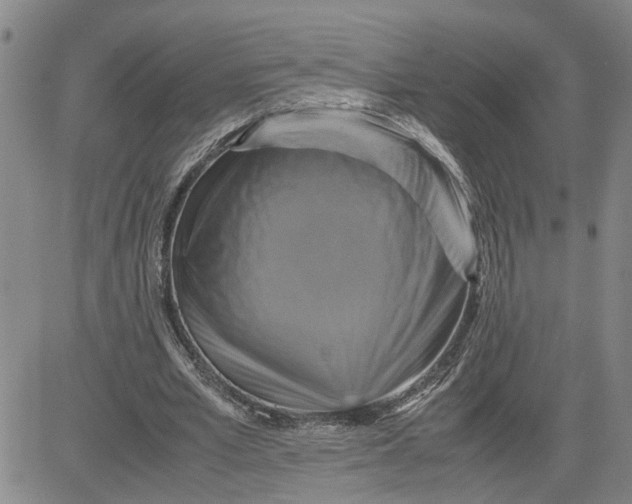 X0000080750581200701021033
