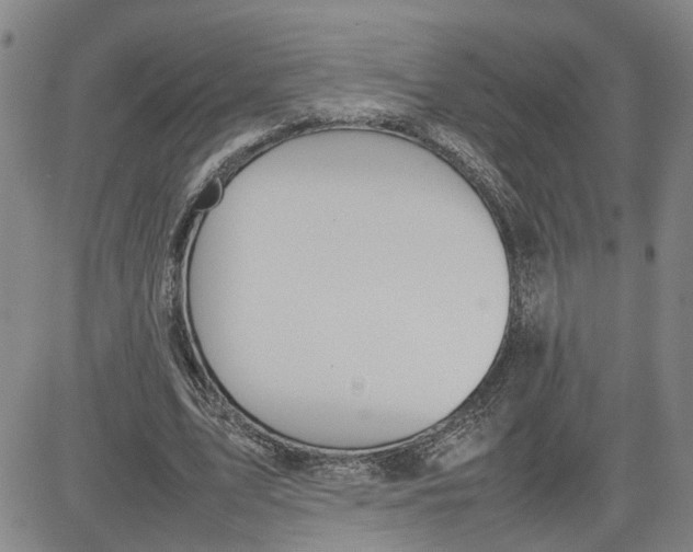 X0000080750583200701021033