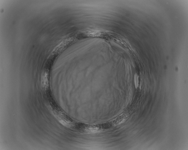 X0000080750598200701021033