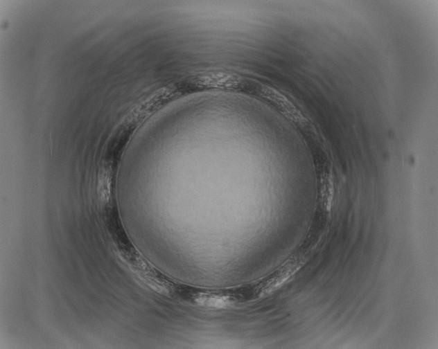 X0000080750602200701021033
