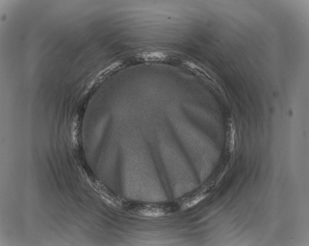 X0000080750604200701021033