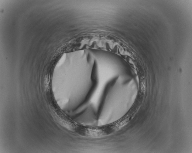 X0000080750605200701021033