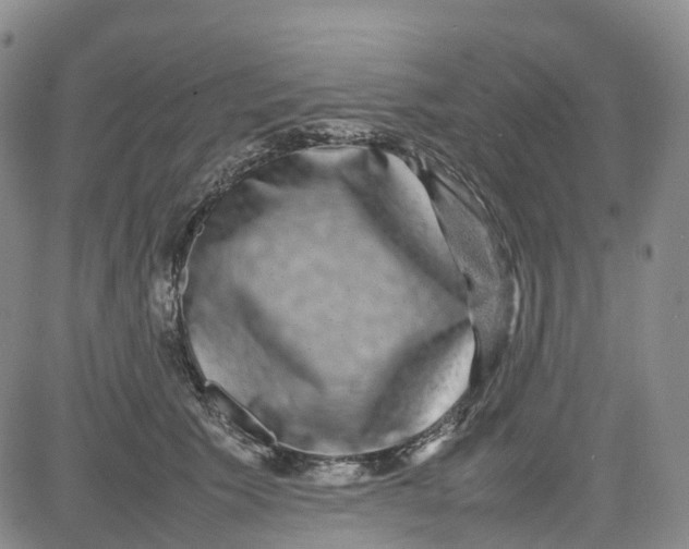 X0000080750609200701021033