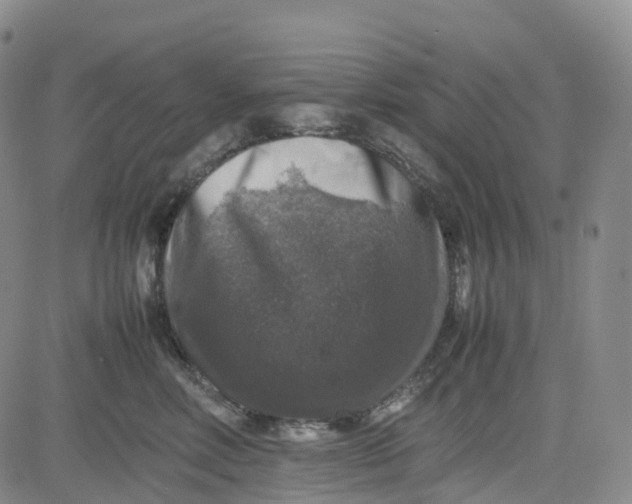 X0000080750618200701021032