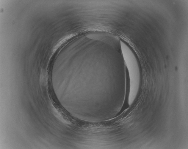 X0000080750626200701021032