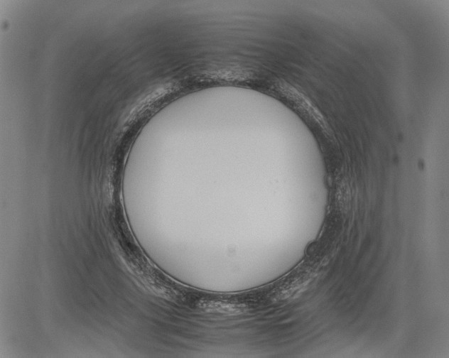 X0000080750635200701021032