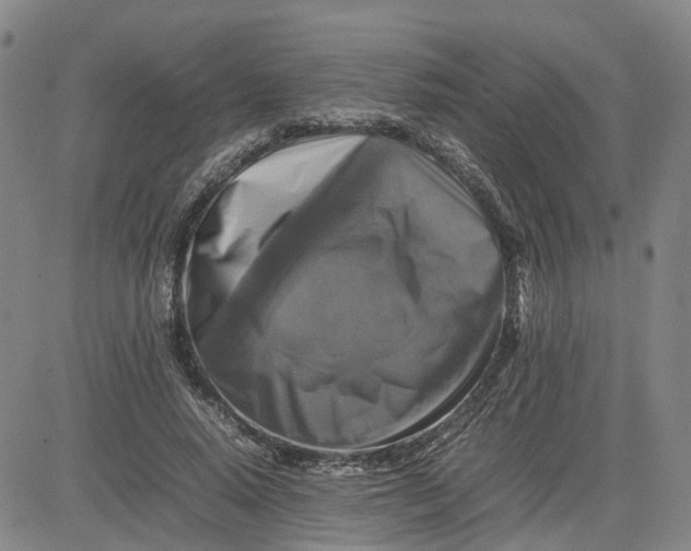 X0000080750640200701021032