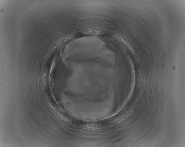 X0000080750641200701021032