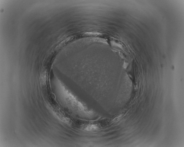 X0000080750647200701021032