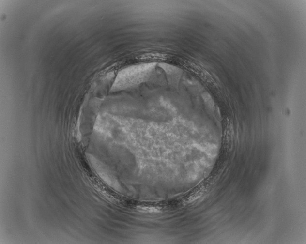 X0000080750649200701021032