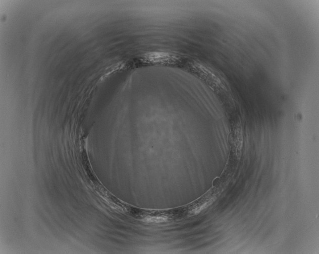X0000080750653200701021032