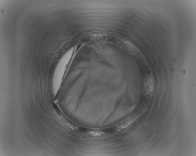 X0000080750654200701021032