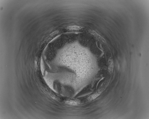 X0000080750655200701021032