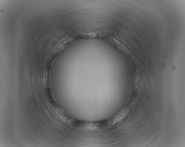 X0000080750656200701021032