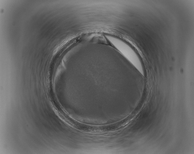 X0000080750677200701021032