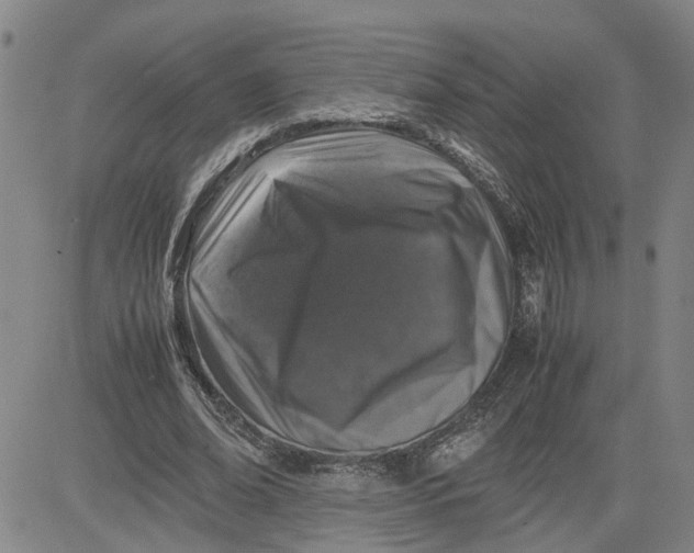 X0000080750678200701021031